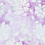 Ткань 100% хлопок [Tonga-B4434-Lilac]