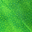 Ткань хлопок пэчворк зеленый, цветы, Robert Kaufman (арт. AL-12336)