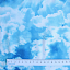 Ткань хлопок пэчворк голубой, природа реалистичные, Timeless Treasures (арт. SKY-C8463-BLUE)