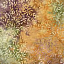 Ткань хлопок пэчворк разноцветные, , Timeless Treasures (арт. 120951)