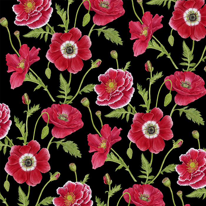 Ткань хлопок пэчворк красный черный, цветы, Henry Glass (арт. 237075)