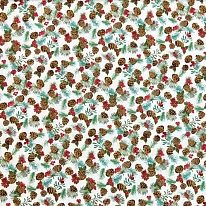 Ткань для лоскутного шитья [AU-NY-221]