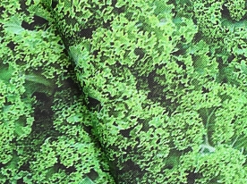 Ткань для лоскутного шитья [642GREEN]