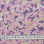 Ткань хлопок пэчворк сиреневый, необычные, Windham Fabrics (арт. 52593-5)