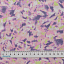 Ткань хлопок для пэчворка для одежды сиреневый, необычные, Windham Fabrics (арт. 52593-6)