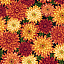 Ткань хлопок пэчворк красный оранжевый, цветы, Henry Glass (арт. 249467)