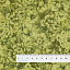 Ткань хлопок пэчворк зеленый, цветы, Maywood Studio (арт. MAS10282-G)
