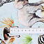 Ткань хлопок пэчворк голубой, животные, P&B (арт. 4845 MU)