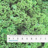 Ткань для лоскутного шитья [642GREEN]