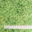 Ткань хлопок пэчворк зеленый, флора, Windham Fabrics (арт. AL-12336)