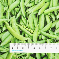 Ткань для лоскутного шитья [654GREEN]