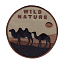 Нашивка «Wild nature/ верблюды»