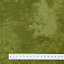 Ткань хлопок пэчворк болотный зеленый, однотонная, Stof (арт. 4516-806)