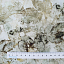 Ткань хлопок пэчворк серый, осень флора, FreeSpirit (арт. PWKA016.SAGE)