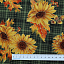 Ткань хлопок пэчворк разноцветные, цветы, Benartex (арт. 1668M-44)